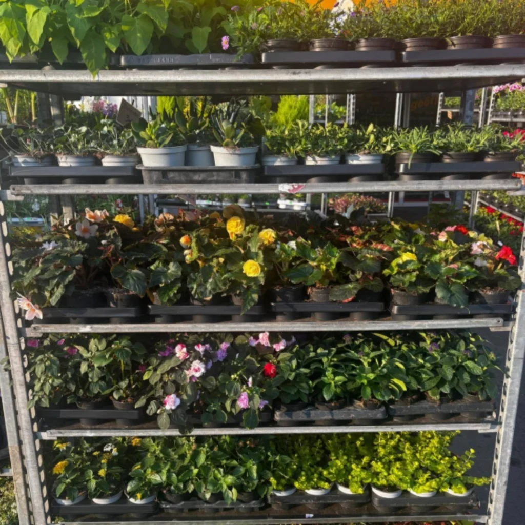 Floristisches Blumenarrangement